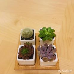 -梵创造型