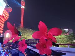 -海心沙亚运公园