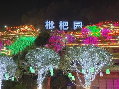 -枇杷园食为鲜火锅(南山店)