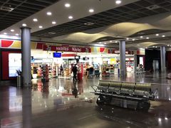 -西沃古尔·拉姆古兰爵士国际机场