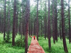 -塞罕坝国家级自然保护区