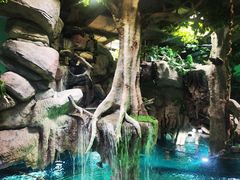 -福州罗源湾海洋世界旅游区