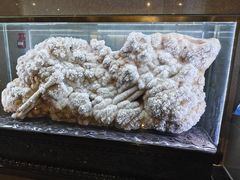 -湖南省地质博物馆