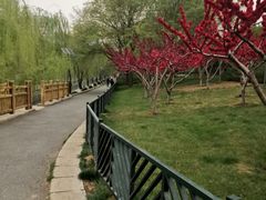 -元大都城垣遗址公园