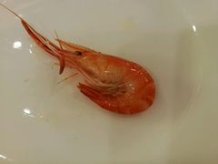 -上海老饭店(北京分店)
