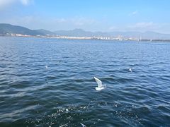 -滇池海埂公园