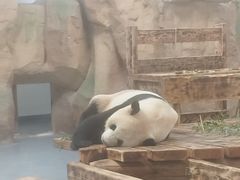 -无锡动物园·太湖欢乐园