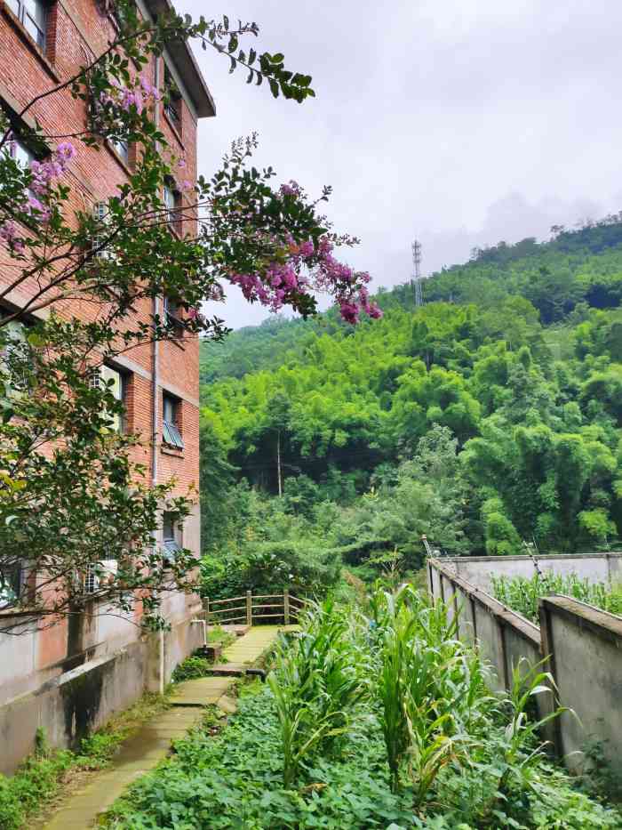 心苑雾山农场-"第n次来了,很喜欢这个地方!服务态度超好.