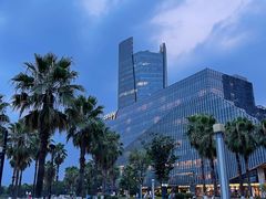 -金沙湖公园