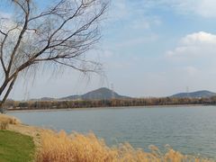 -羊山湖公园