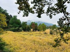 -塔川景区