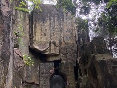 -铁山坪森林公园