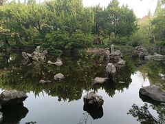 -叶家花园
