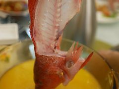 东星斑打边炉-高老庄新家宴(北斗星广场店)