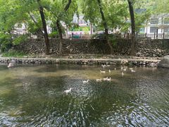 -鹿亭中村