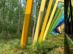 -合肥滨湖国家森林公园