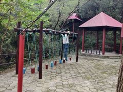 -原山国家森林公园