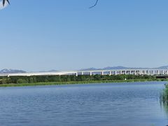 -绿堤公园