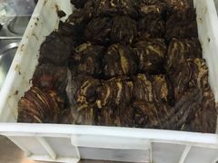 -老回回饺子馆(海洋馆店)