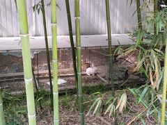-呀路古热带植物园