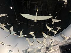 -中国湿地博物馆