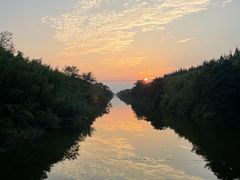 -黄海国家森林公园