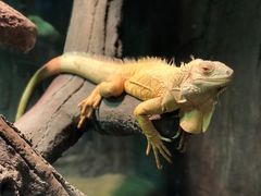 -济南野生动物世界