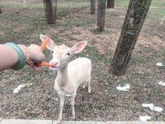 -秦皇岛野生动物园