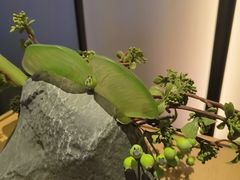 -和子足浴SPA会馆(竹山路店)