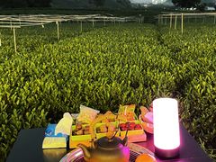 -龙坞茶村