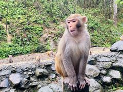 -姑婆山旅游区