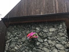 -富田农场