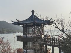 -云龙湖阿喆米线(云龙湖店)