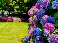 -常州古运河南大街文化旅游区-人民公园