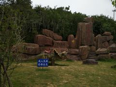 -大塘金香草谷