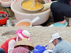 -西涌国际滨海旅游区