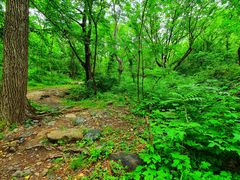 -云岫谷自然风景区