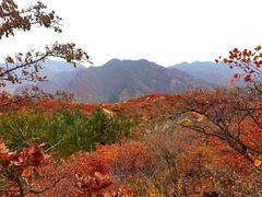 -周口店坡峰岭风景区