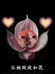 -蘭馨美孕产后恢复中心(亦庄店)