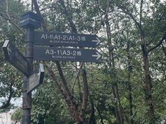 -南山植物园