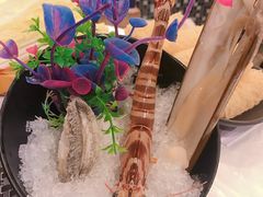 -鲜入围煮花胶鸡海鲜火锅