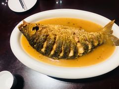 红烧黄河鲤鱼-裕丰源(福彩路店)