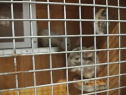 -酷嗒动物文化乐园(cutezoo西溪乐天城店)