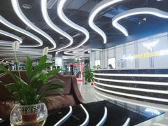 -金吉鸟健身游泳