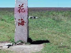 -空中草原