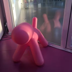 -WITCH （舞季）舞蹈工作室