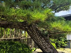 -南紀白浜 浜千鳥の湯 海舟