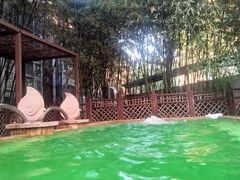 -春晖园度假酒店温泉