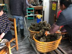 -濠轩阁特色生蚝火锅(水湾路店)