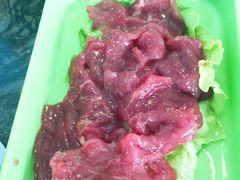 -蚝专家